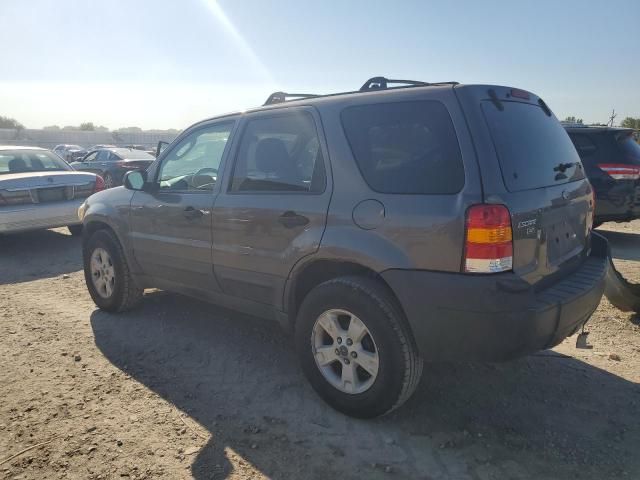 2006 Ford Escape XLT