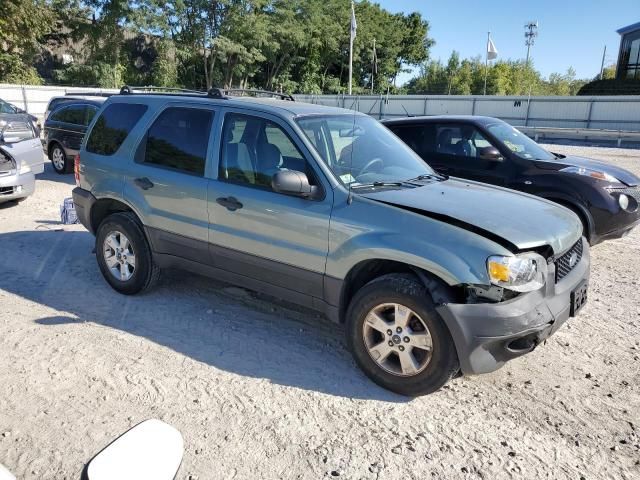 2007 Ford Escape XLT