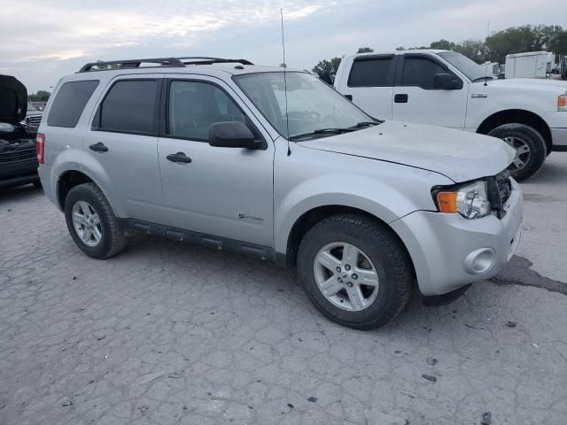 2010 Ford Escape Hybrid