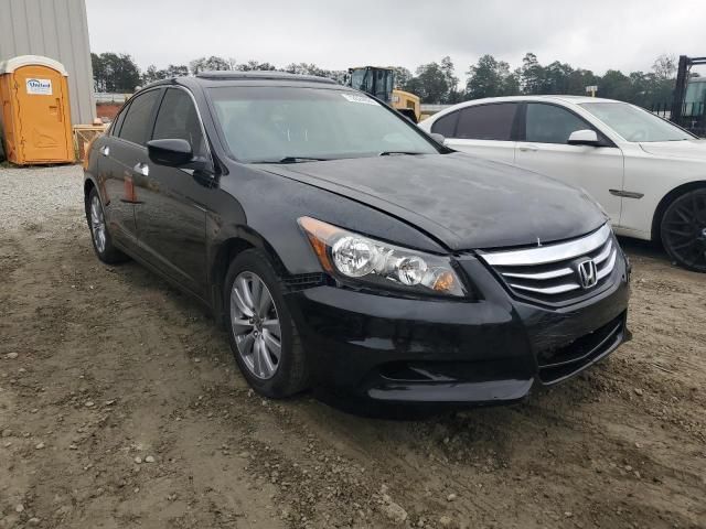 2011 Honda Accord EXL