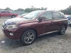 2013 Lexus RX 450H