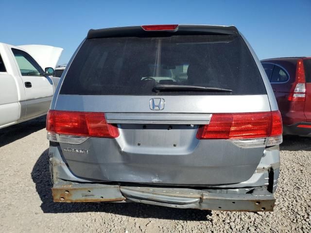 2010 Honda Odyssey EXL