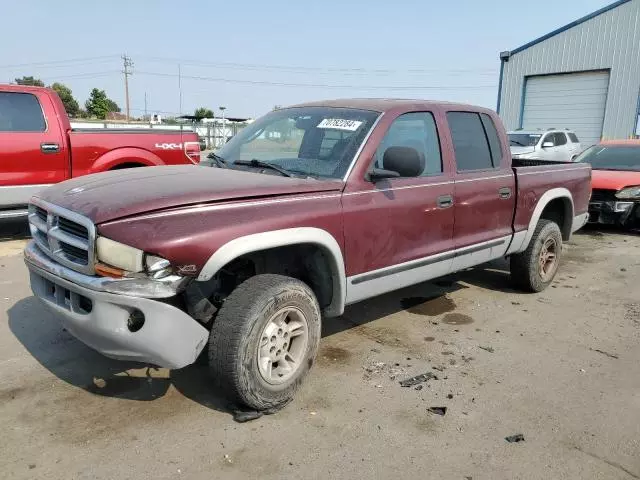 2000 Dodge Dakota Quattro