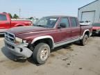 2000 Dodge Dakota Quattro