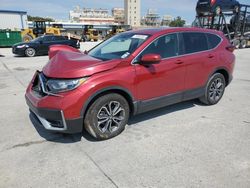 Honda salvage cars for sale: 2020 Honda CR-V EX