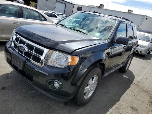 2011 Ford Escape XLT