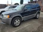 2002 Ford Escape XLT