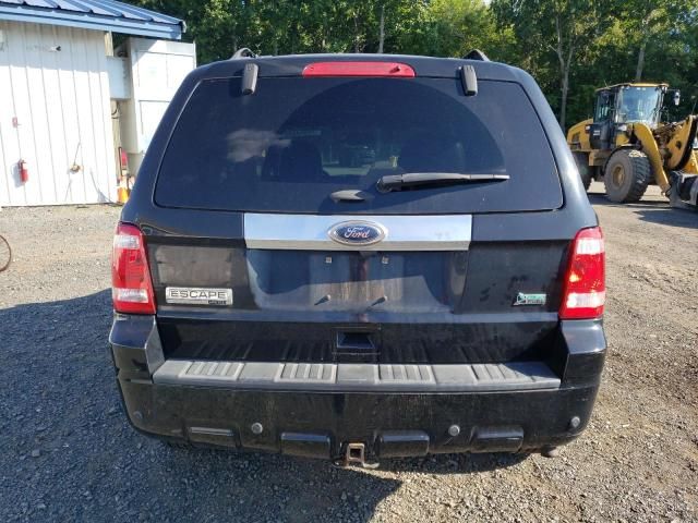 2012 Ford Escape Limited