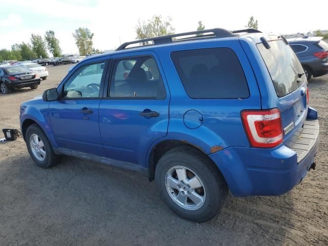 2012 Ford Escape XLT