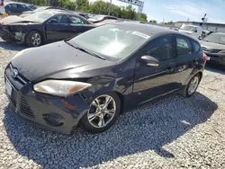 Salvage cars for sale at Columbus, OH auction: 2013 Ford Focus SE