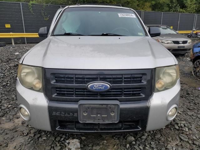 2011 Ford Escape XLT