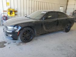 Salvage cars for sale at Abilene, TX auction: 2018 Dodge Charger SXT