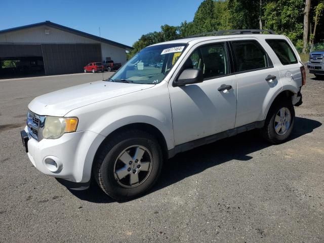 2010 Ford Escape XLS