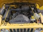 2001 Jeep Wrangler / TJ SE