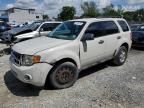 2010 Ford Escape XLS