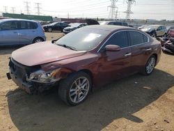 Salvage cars for sale at Elgin, IL auction: 2010 Nissan Maxima S