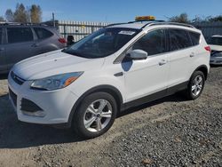 Ford salvage cars for sale: 2016 Ford Escape SE