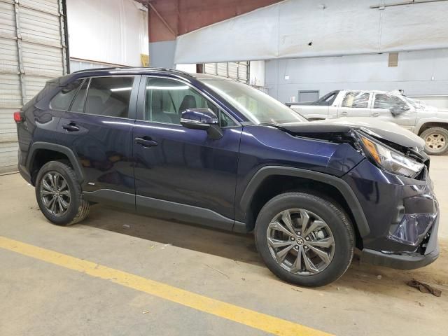 2023 Toyota Rav4 XLE Premium