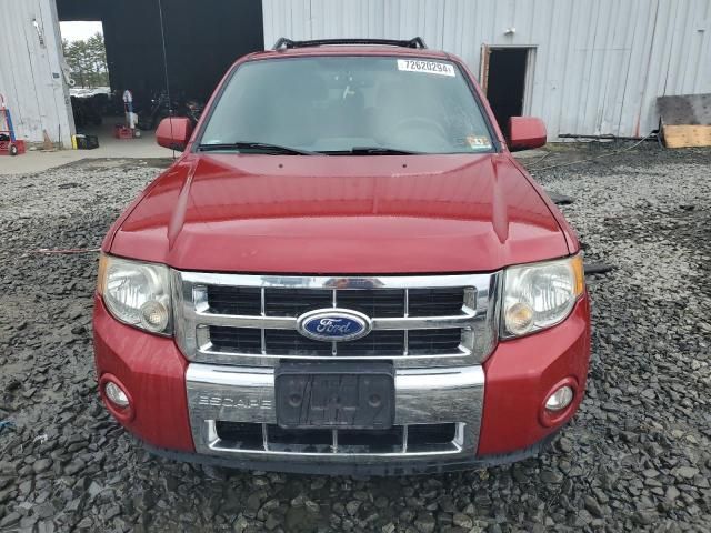 2011 Ford Escape Limited