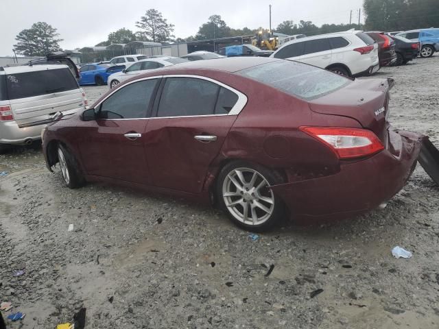 2010 Nissan Maxima S