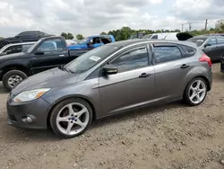 Ford Focus salvage cars for sale: 2014 Ford Focus SE