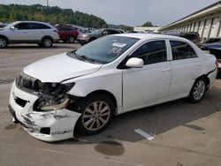 Salvage cars for sale at Louisville, KY auction: 2009 Toyota Corolla Base