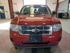 2011 Ford Escape XLS