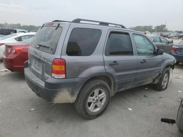 2007 Ford Escape HEV