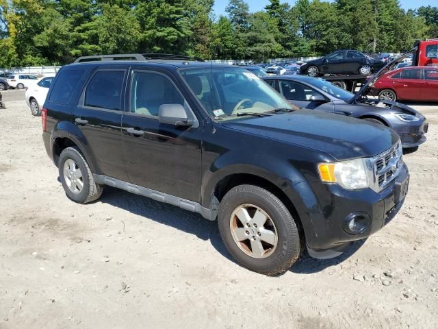 2010 Ford Escape XLT