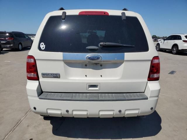 2011 Ford Escape Limited