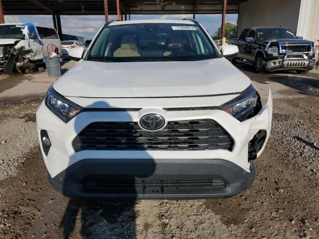 2019 Toyota Rav4 XLE