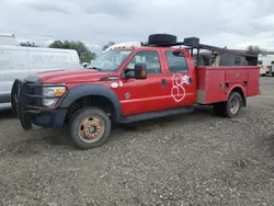 Salvage trucks for sale at Billings, MT auction: 2013 Ford F550 Super Duty