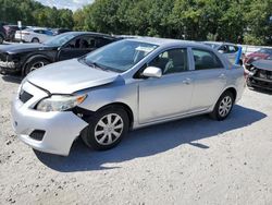 Toyota Vehiculos salvage en venta: 2009 Toyota Corolla Base