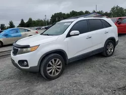 Salvage cars for sale at Midway, FL auction: 2011 KIA Sorento EX