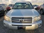 2006 Toyota Highlander Hybrid