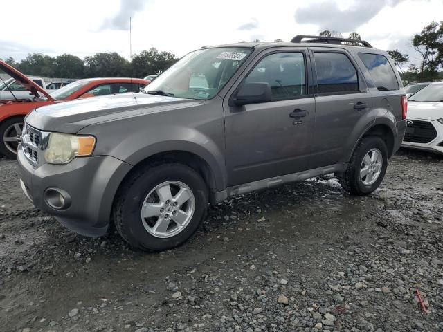 2009 Ford Escape XLT