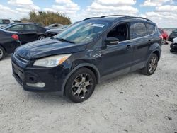 Ford Escape salvage cars for sale: 2013 Ford Escape SEL