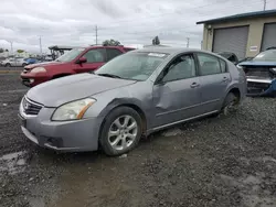 Salvage cars for sale at Eugene, OR auction: 2007 Nissan Maxima SE