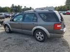 2005 Ford Freestyle SEL