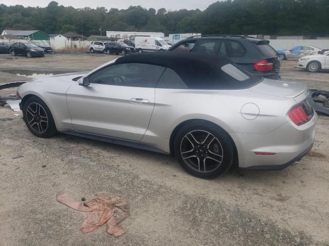 2019 Ford Mustang