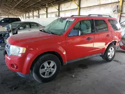 Salvage cars for sale at Phoenix, AZ auction: 2009 Ford Escape XLT