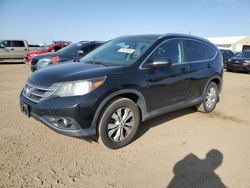 Salvage cars for sale at Brighton, CO auction: 2013 Honda CR-V EXL