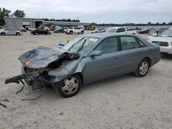 Salvage cars for sale at Harleyville, SC auction: 2003 Toyota Avalon XL