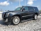 2016 Cadillac Escalade Platinum