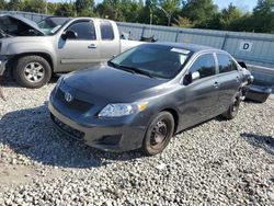 Toyota Corolla Base salvage cars for sale: 2010 Toyota Corolla Base