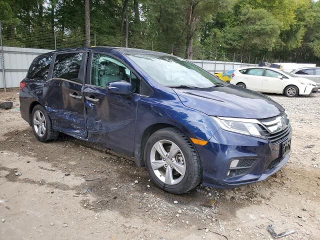 2019 Honda Odyssey EXL