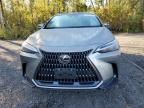 2023 Lexus NX 350H