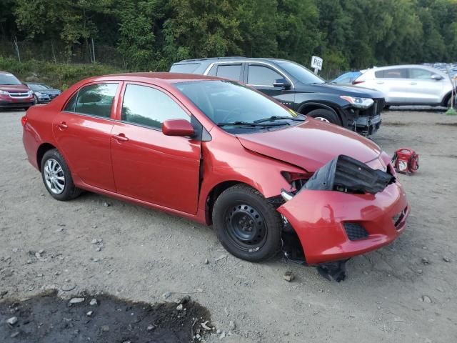 2010 Toyota Corolla Base