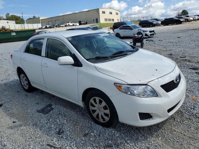 2010 Toyota Corolla Base