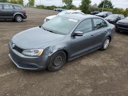 Volkswagen Vehiculos salvage en venta: 2014 Volkswagen Jetta Base